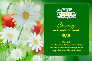 BIG FARM CHÚC MỪNG NGÀY QUỐC TẾ PHỤ NỮ 8/3 🌸